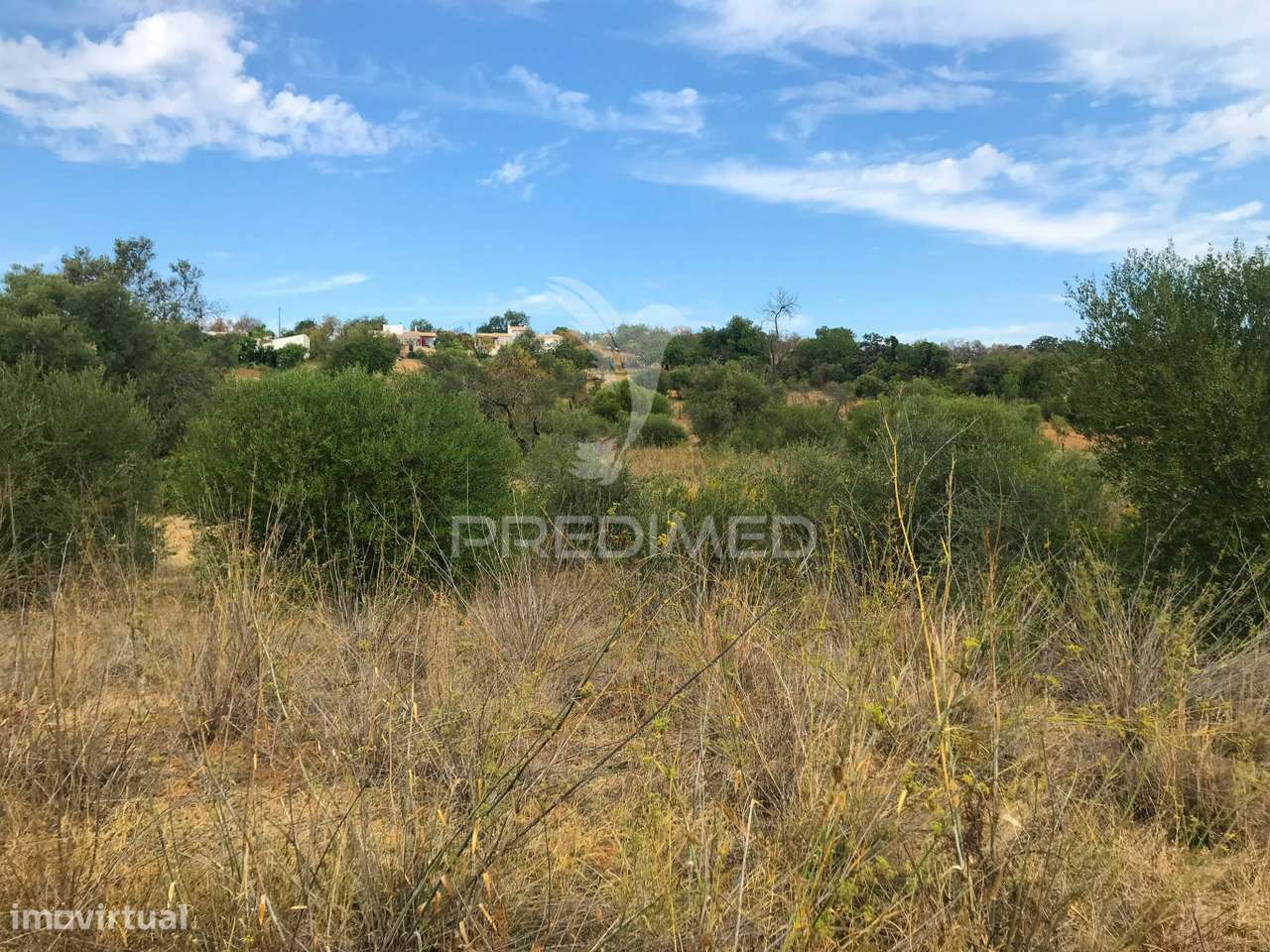 Terreno Rustico Caliços-Olhão - Grande imagem: 3/4