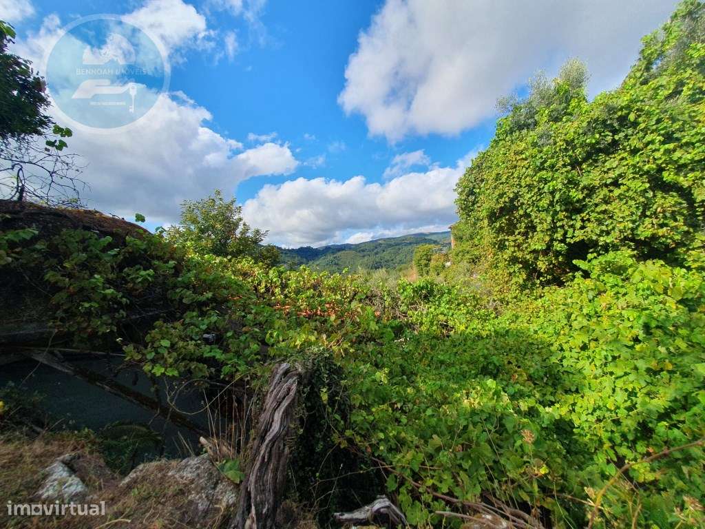 Quinta à venda para restauro em Arroteia freguesia de Rossas-57