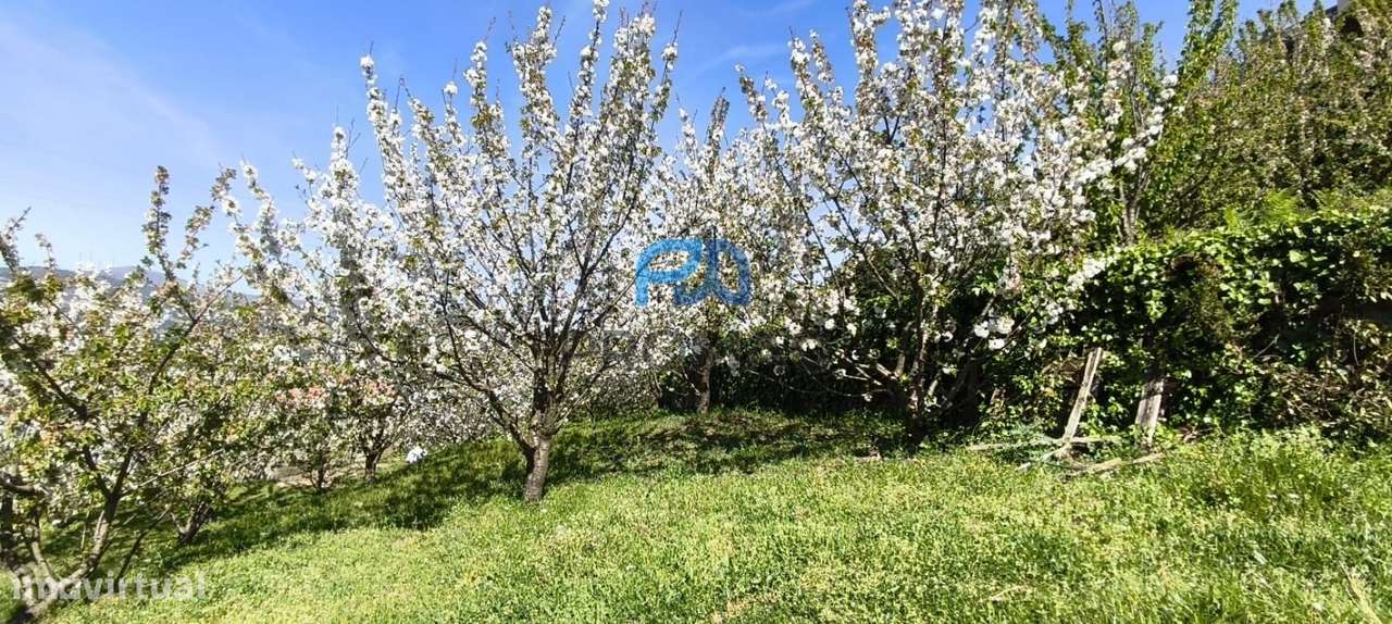 Quinta do Valado- Excelente Investimento em Resende-43