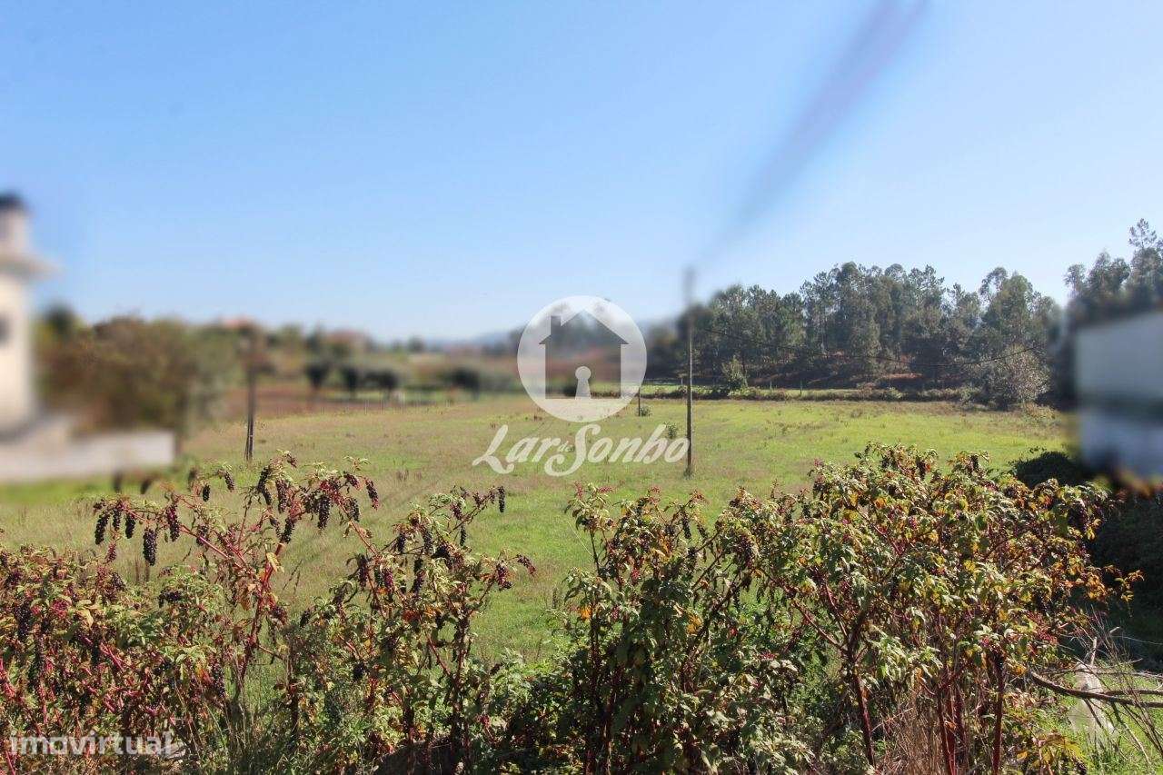 Terreno plano com 6500m2 - Grande imagem: 5/27