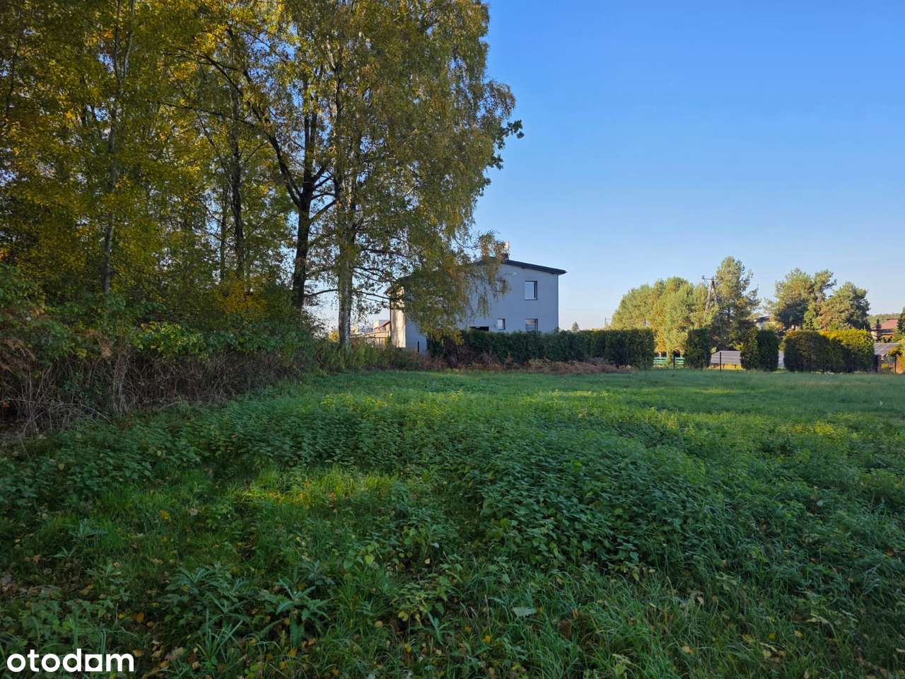 Imponująca powierzchnia w dobrej lokalizacji-2