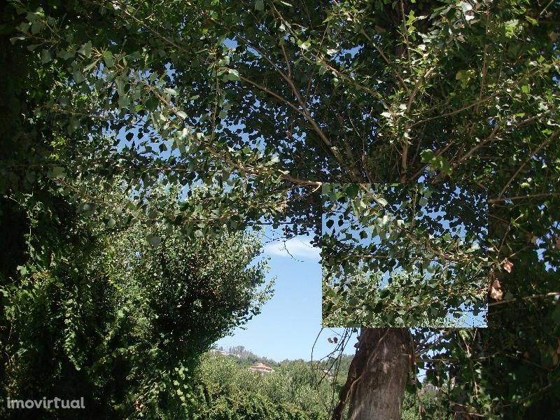 Terreno agrícola