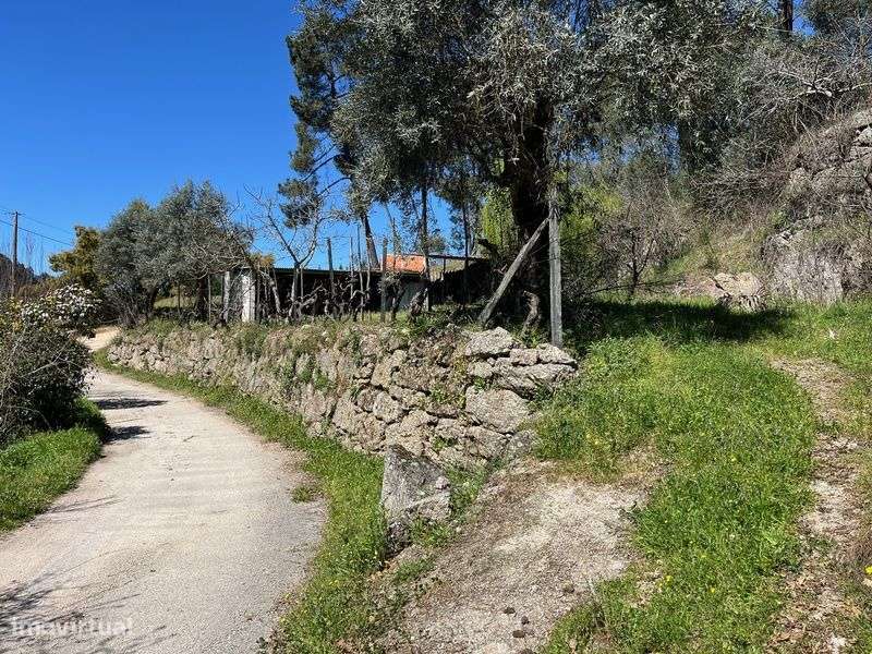 Quintinha isolada com 9945m2 acesso ao Rio Cavalos! - Grande imagem: 4/35