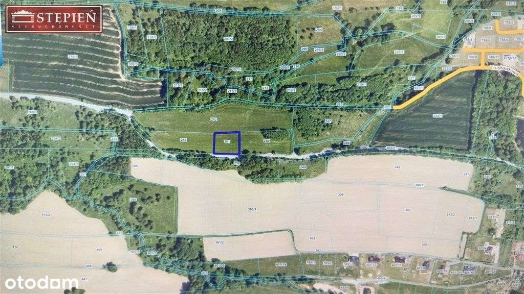 Działka, 2 400 m², Smolnik - Pełny obrazek: 3/3