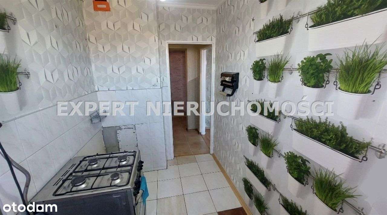 3 Pokoje Z Dużym Balkonem W Doskonałej Lokalizacji-15