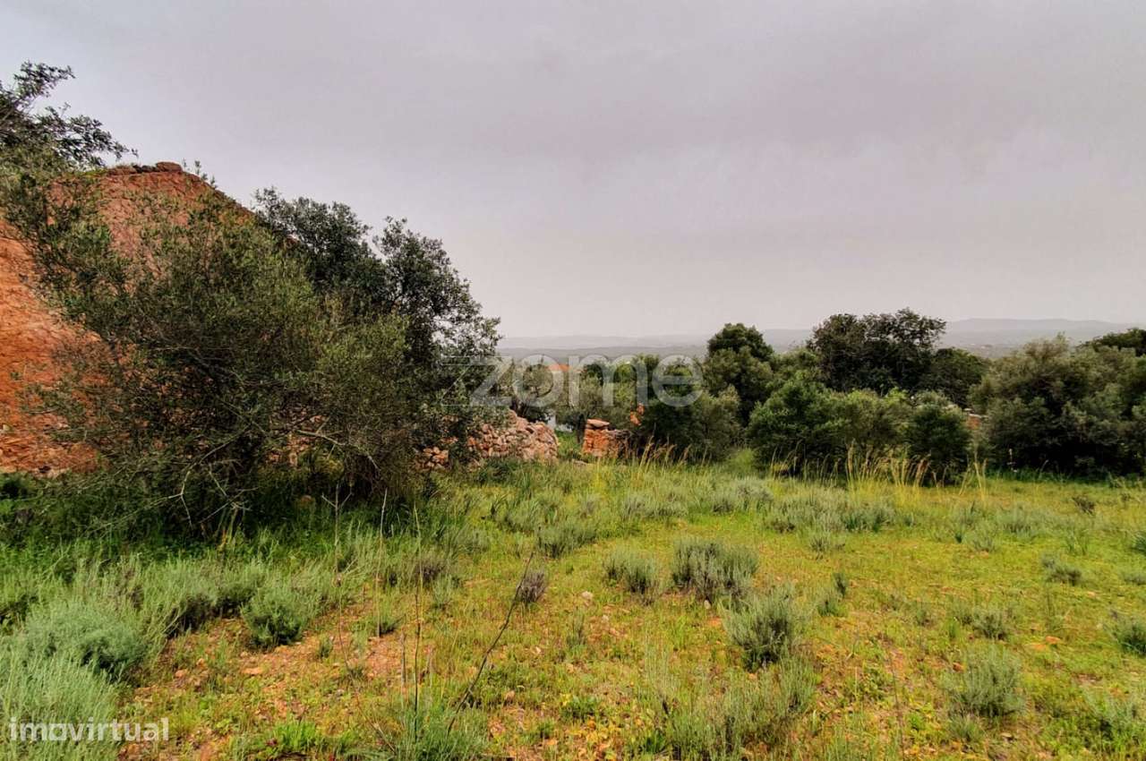 Terreno com viabilidade de Construção em Messines - Grande imagem: 5/18