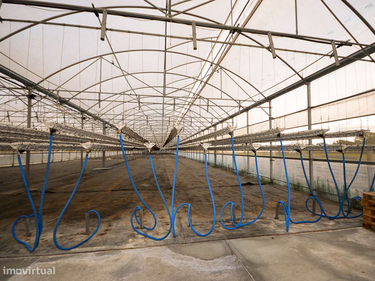 Estufa de produção para Horticultura e Floricultura - Grande imagem: 3/13