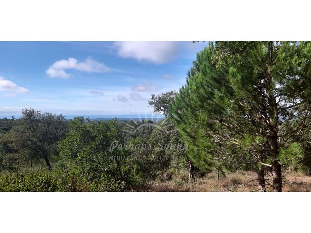Terreno rústico vista mar - Grande imagem: 4/16
