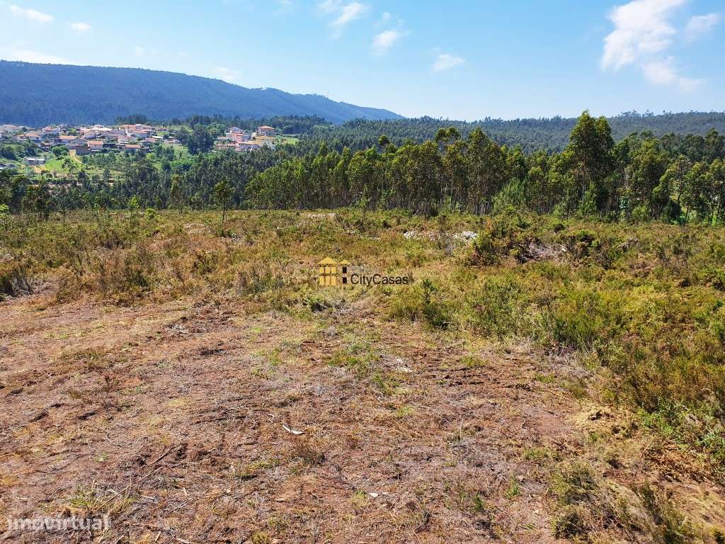 Terreno em Melres c/ Potencial de Construção - Grande imagem: 5/15
