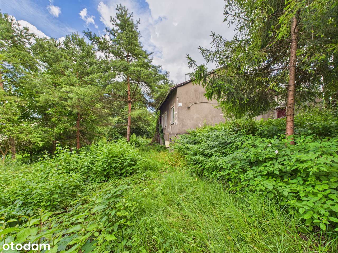 Zielona Działka z Własnym Źródłem i Stawem w Świetnej Lokalizacji!-12