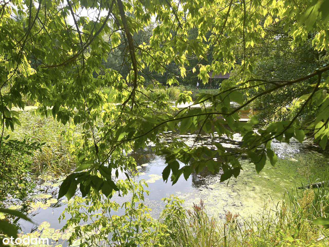 dom w lesie nad zakolem rzeki-18