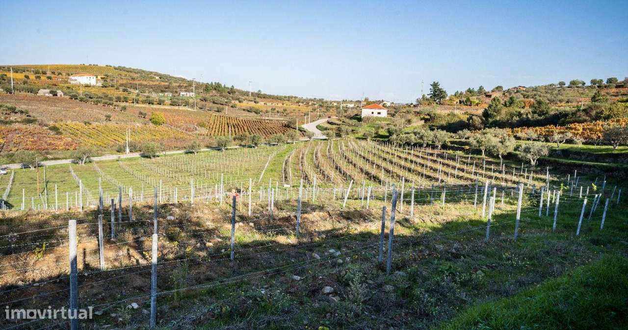 Moradia, 114 m², Barcos e Santa Leocádia-45