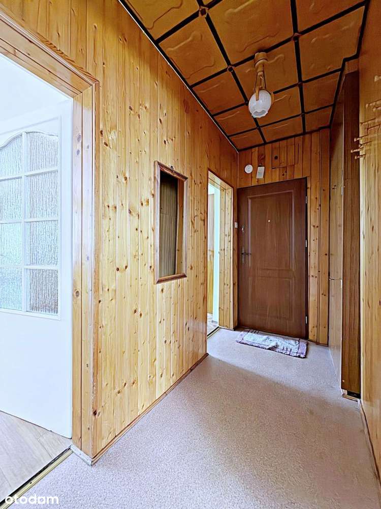 Przestronne 2 Pok w Zielonej Enklawie | Ogródek-7