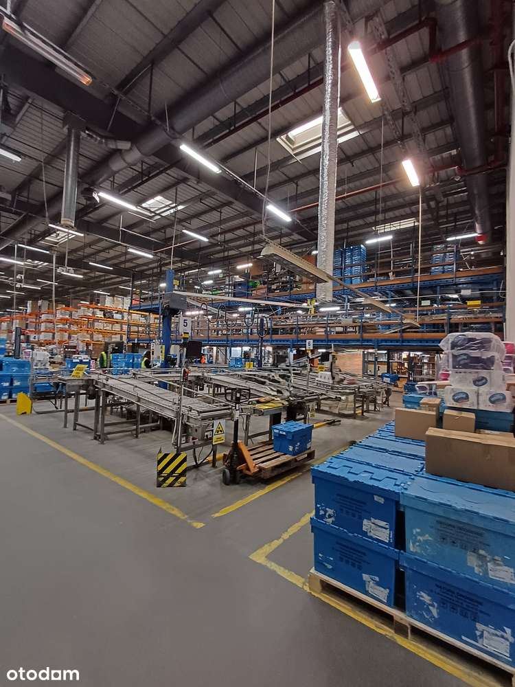 Błonie – teren inwestycyjny z halą i biurem, cena do negocjacji!-5