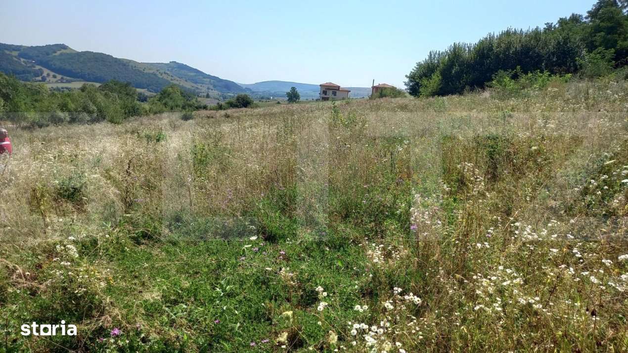 Vand teren extravilan in Stolna suprafata 2550 mp, front 37 utilitati - Imagine principală: 2/3