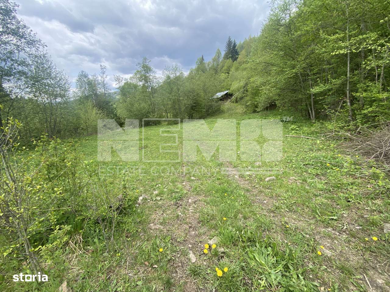 Teren Intravilan | Câmpulung Moldovenesc | 31ARI - Imagine principală: 3/10