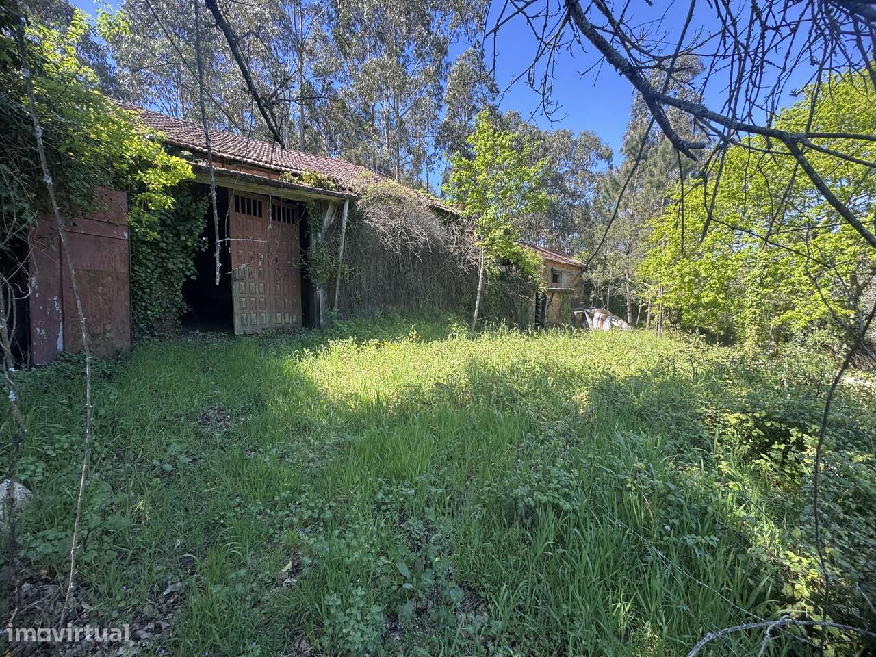 Quintinha – Oliveira de Frades-12