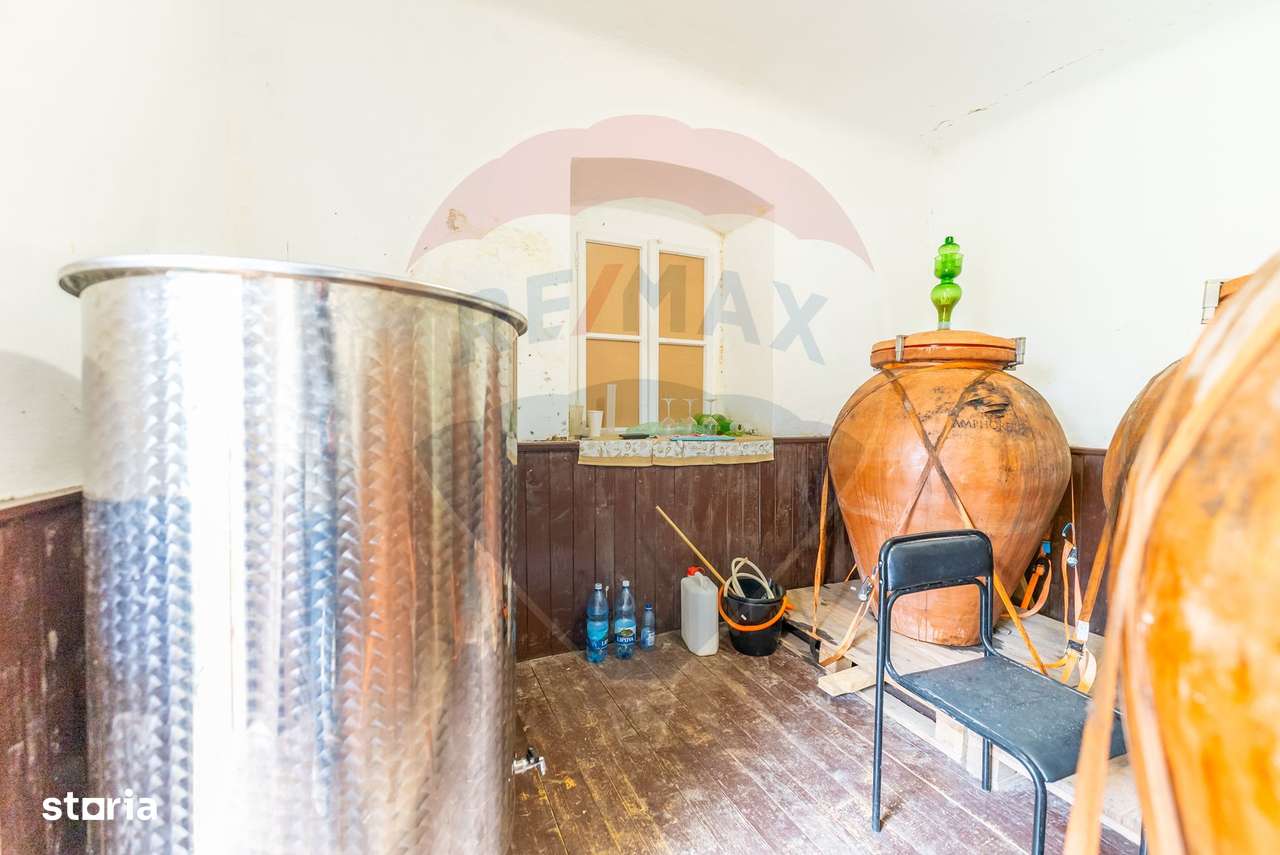 Conac aristocratic secolul XIX , domeniu  2,5 hectare — Păuliș, Arad-19