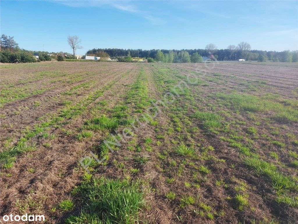 Działka Przy Trasie S-8 - Pełny obrazek: 5/7