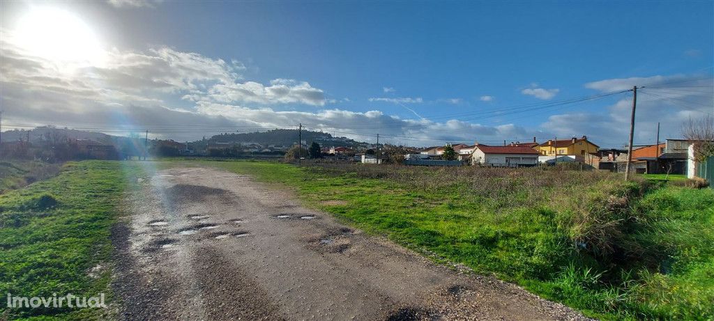 Terreno Rustico , São Martinho do Bispo