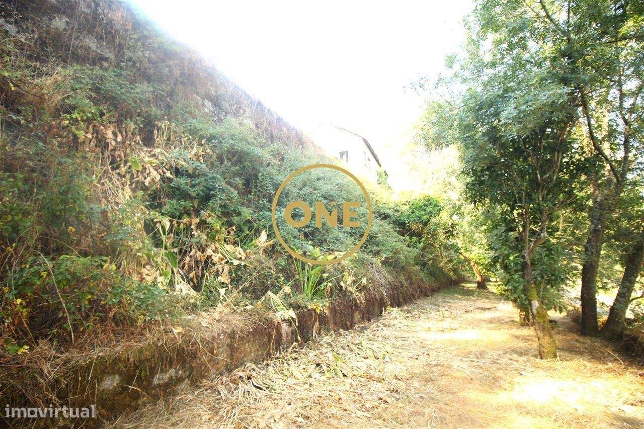 Moradia para Restauro em Aves - Grande imagem: 3/6