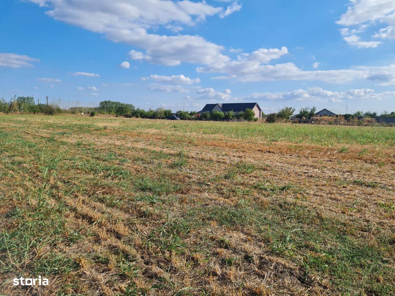 Teren intravilan Magurele - Imagine principală: 5/5