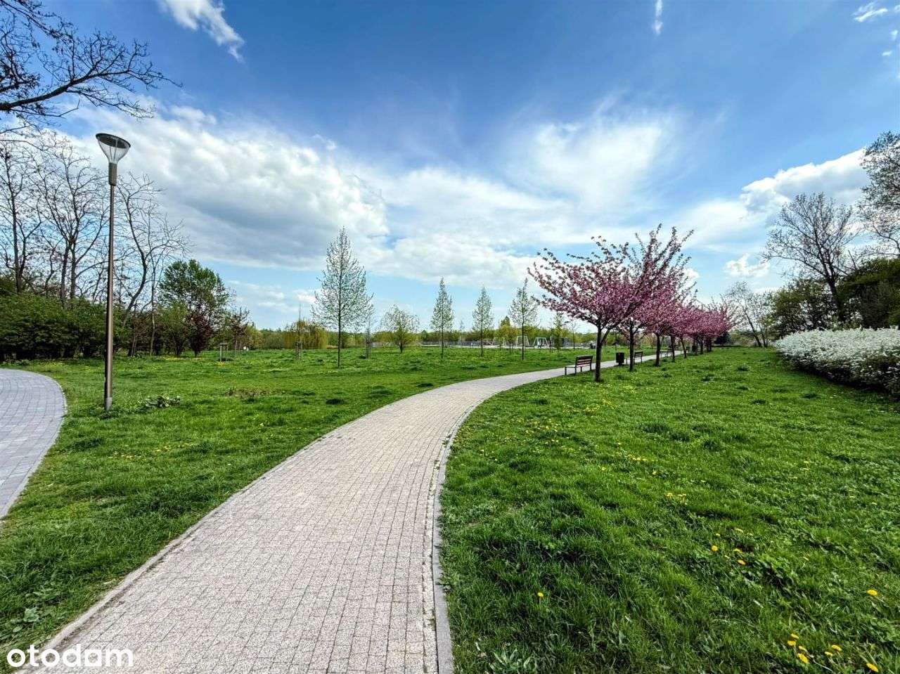 ❤️ Idealne z Widokiem na Zieleń z Ogrodem ! Okazja - Pełny obrazek: 5/10