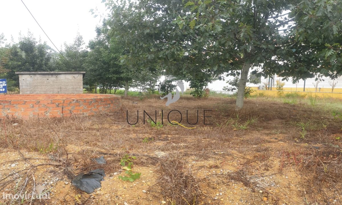 Lote de Terreno  Venda em Oiã,Oliveira do Bairro