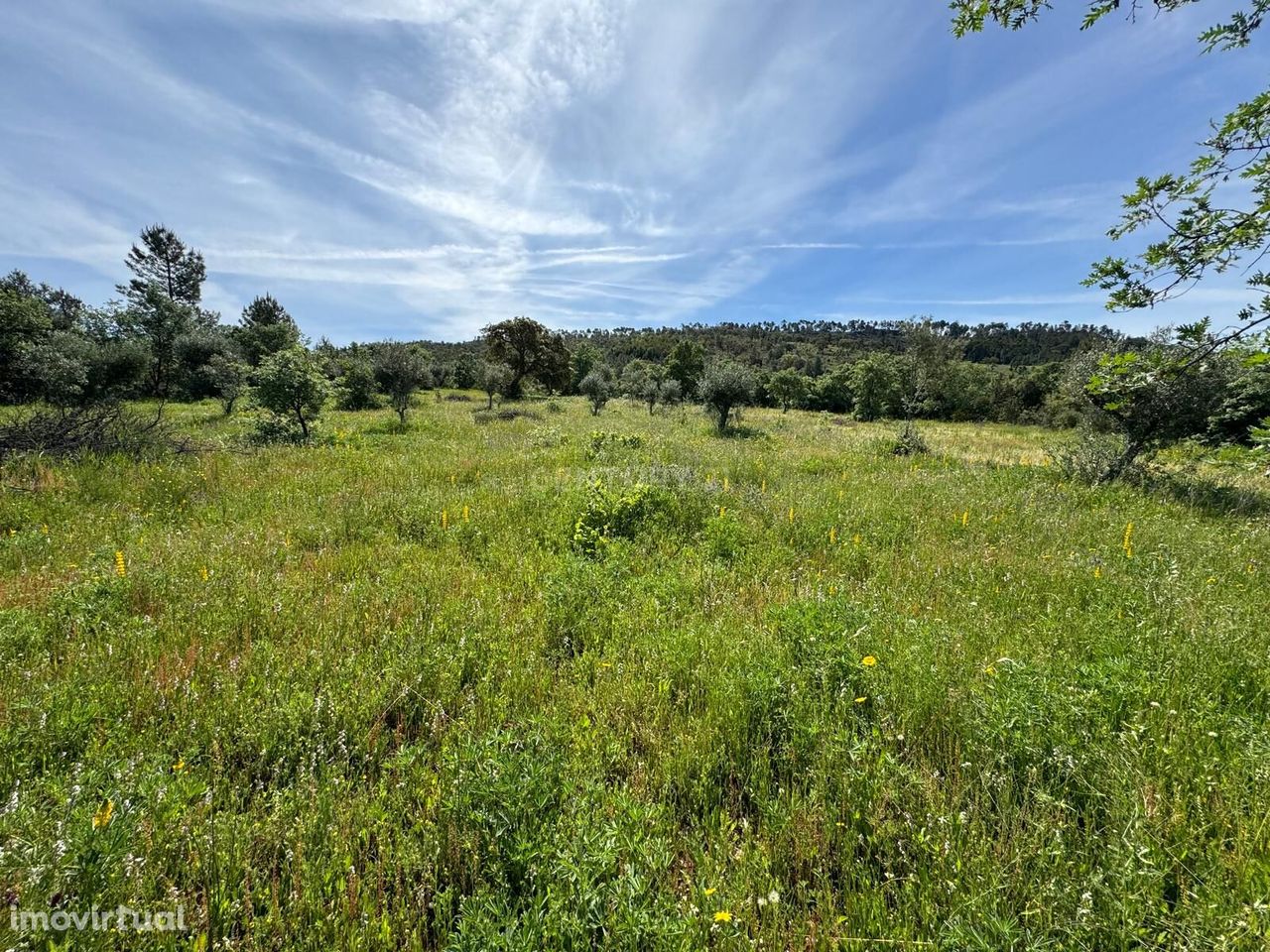 Terrenos Rústicos em Penamacor com 10.500m2