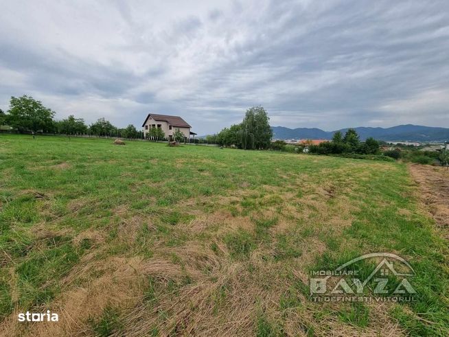 Baia Mare, strada Codrului, teren intravilan 1600 mp, 62.000 Euro!