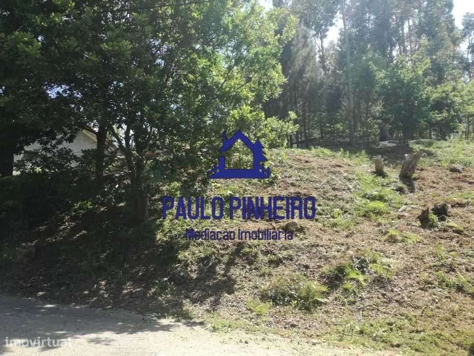 Terreno Olival - Grande imagem: 3/7