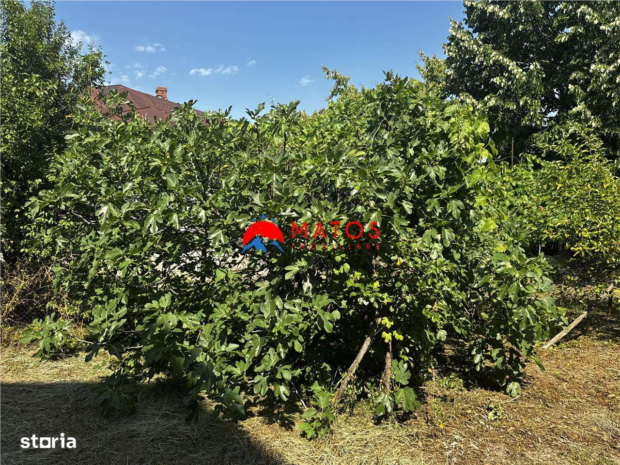 „Casa de vânzare 142 mp + 1.013 mp teren Scorteni, Prahova | Interbeli-6