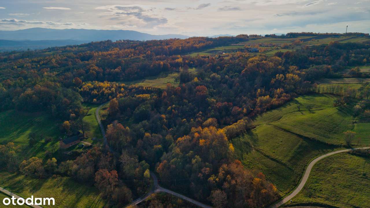 Działka rolna 3,5 ha - TRZETRZEWINA-8