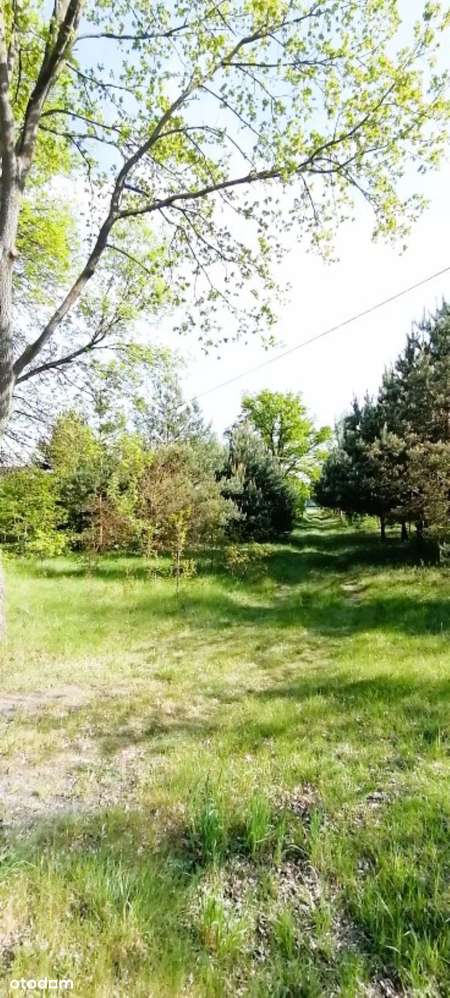 Działka gm. Drużbice, Józefów, 9032 m2, z potencjałem, atrakcyjna cena-6