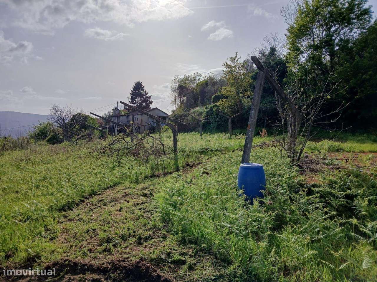 Moradia para recuperação total no Douro - Grande imagem: 4/11