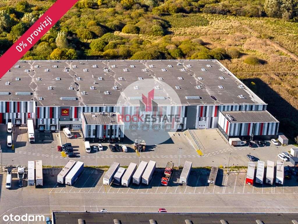 Magazyn w Gdyni od zaraz 3578 m2 - 0% prowizji - Pełny obrazek: 4/5
