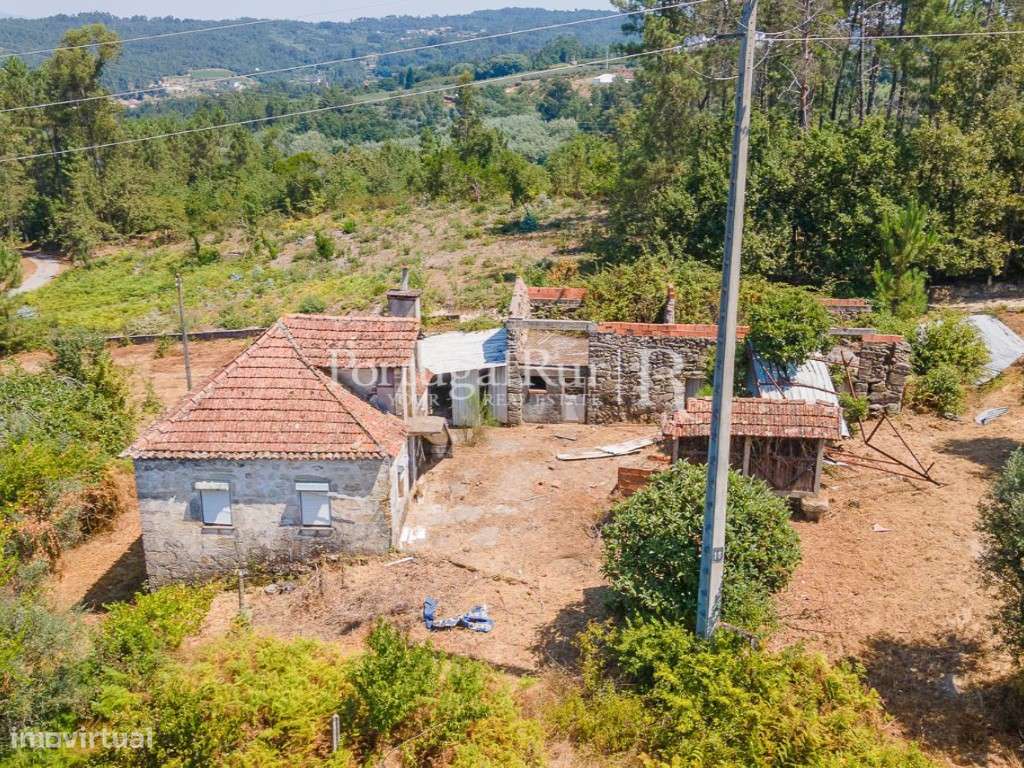 Quinta de 3 hectares com casa para recuperar - Grande imagem: 4/43