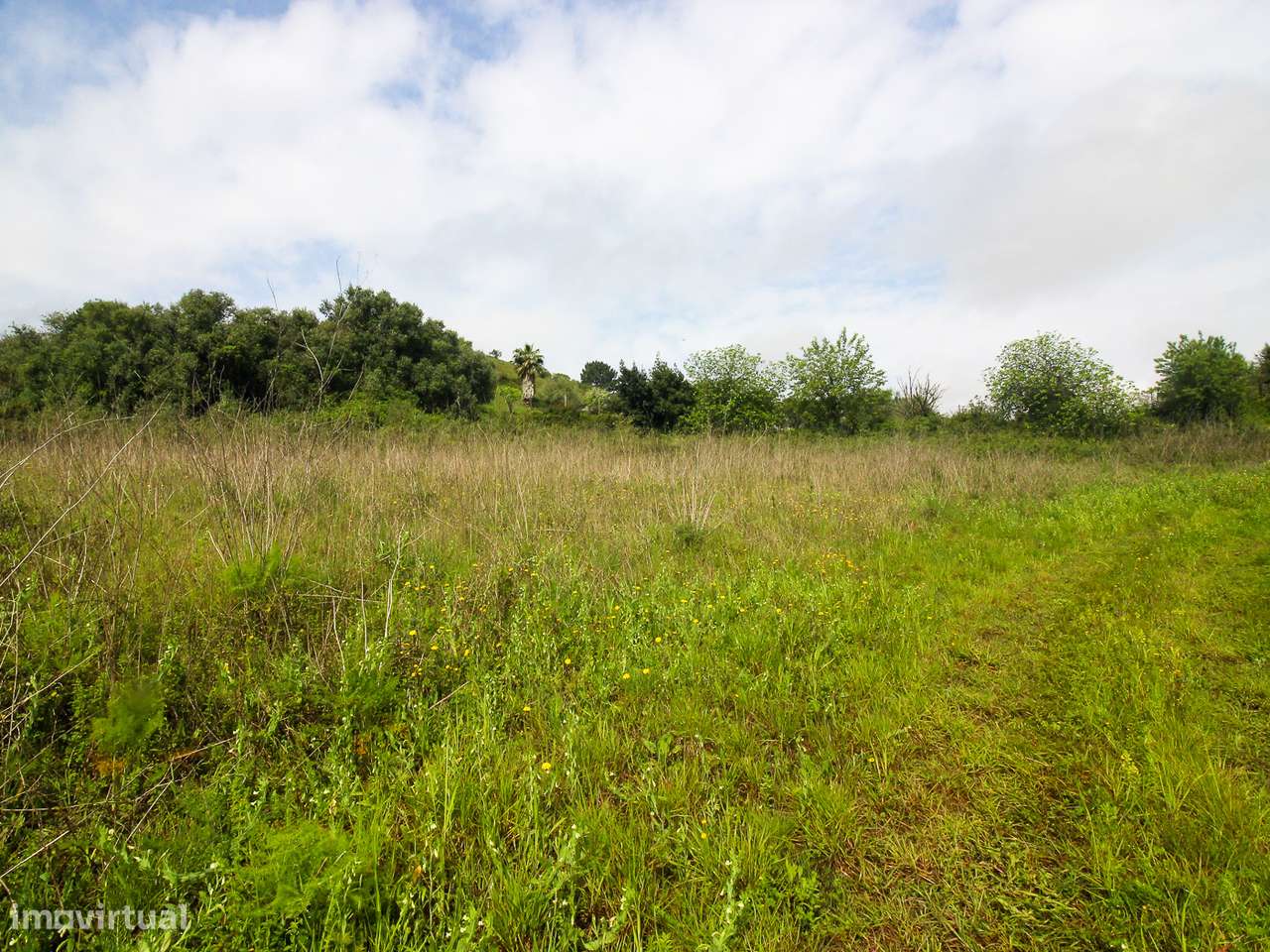 Terreno com 9.160m2 com viablidade de construção - Grande imagem: 5/16