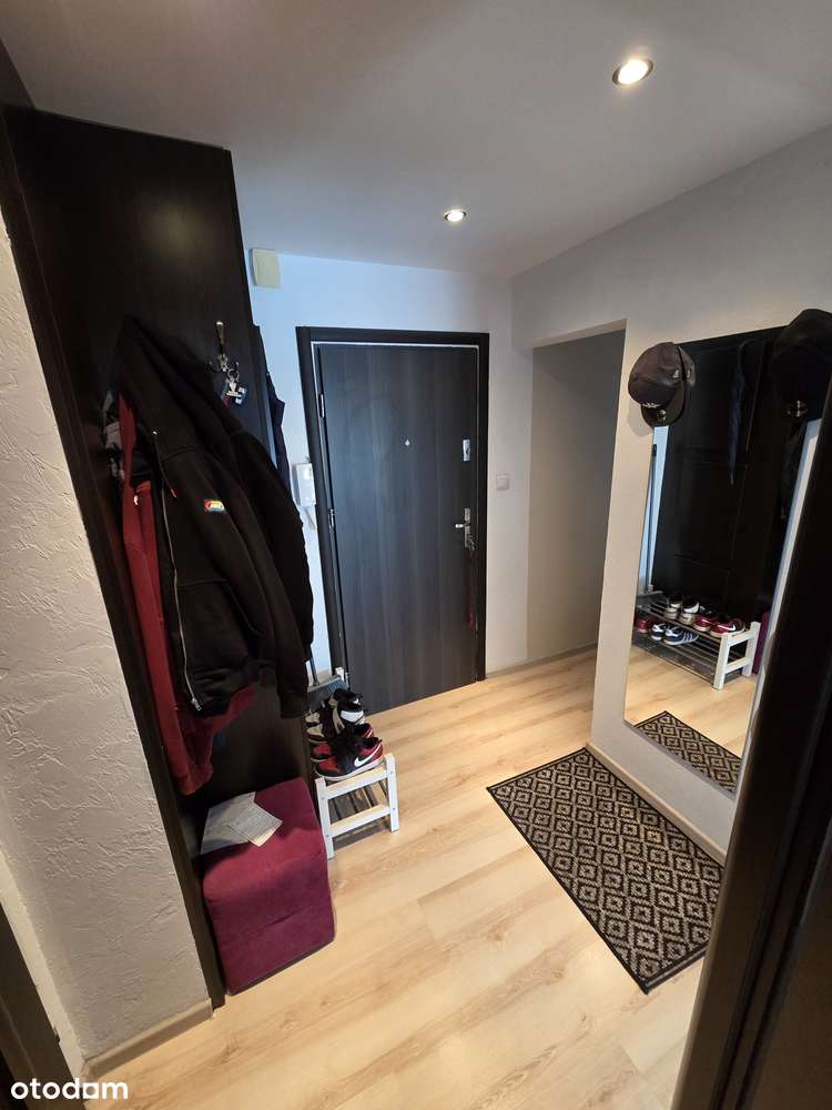 Mieszkanie 2 pokoje + kuchnia I piętro Opole 1 Maja - Pełny obrazek: 5/15