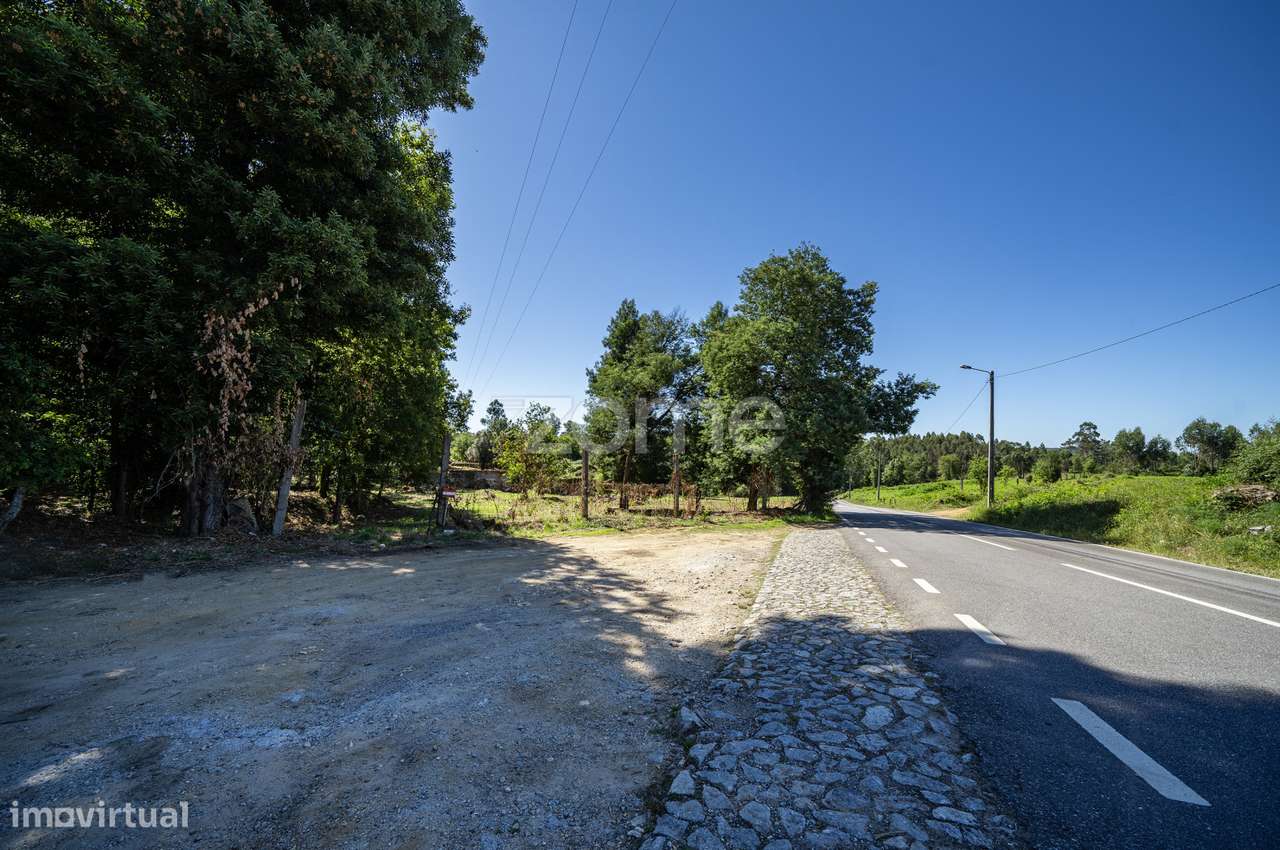 Quinta em ruina c/ 24.650m2 de terreno em Arcozelo, Vila Verde - Grande imagem: 5/32