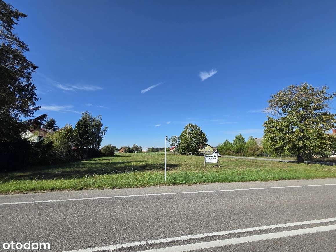 Działka inwestycyjna 1800 m² – Model, gm. Pacyna - Pełny obrazek: 4/6