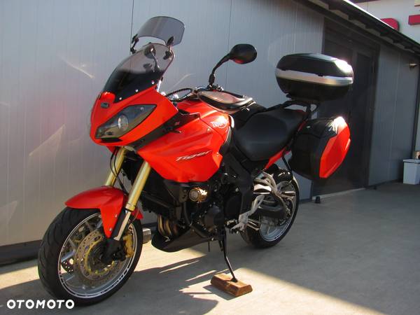 Triumph Tiger - 18