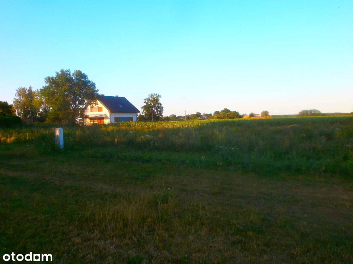 Goniczki k/Wrześni działka budowlana-3