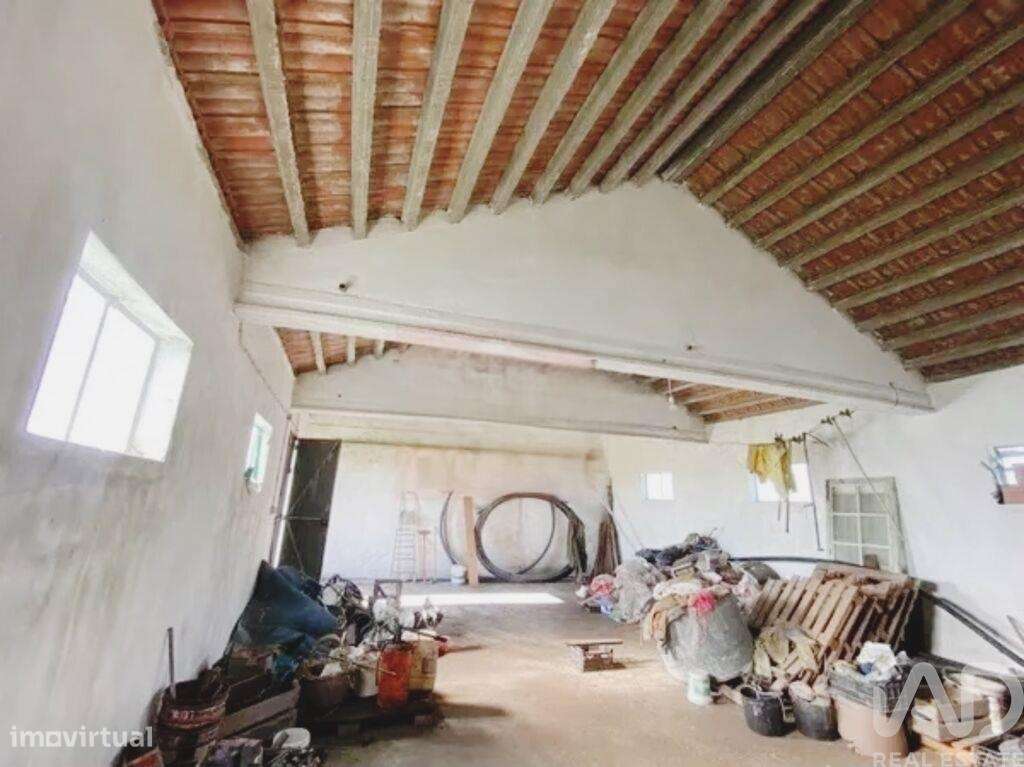 Terreno Agrícola em Samouco - Grande imagem: 3/28