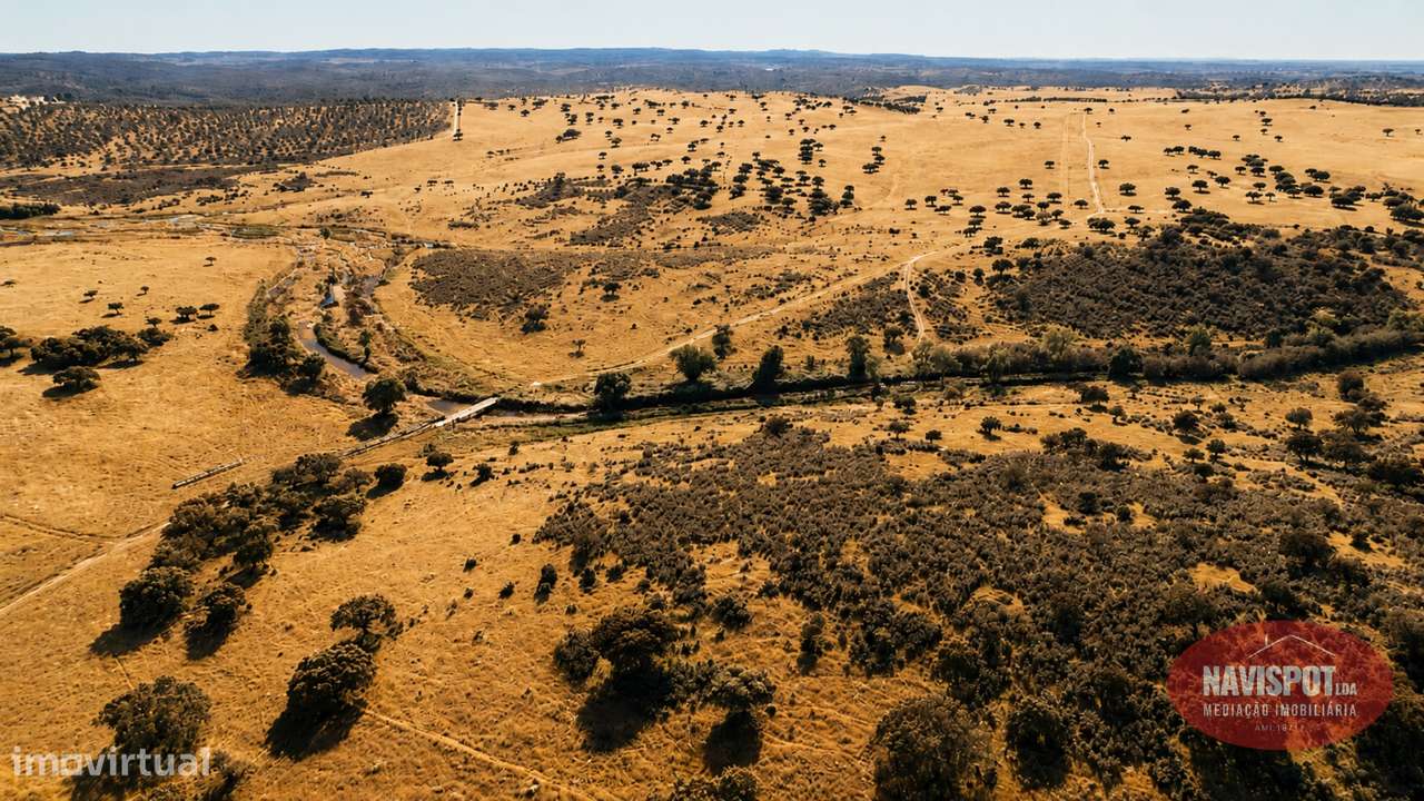 Herdade com 750 hectares no Alentejo-29