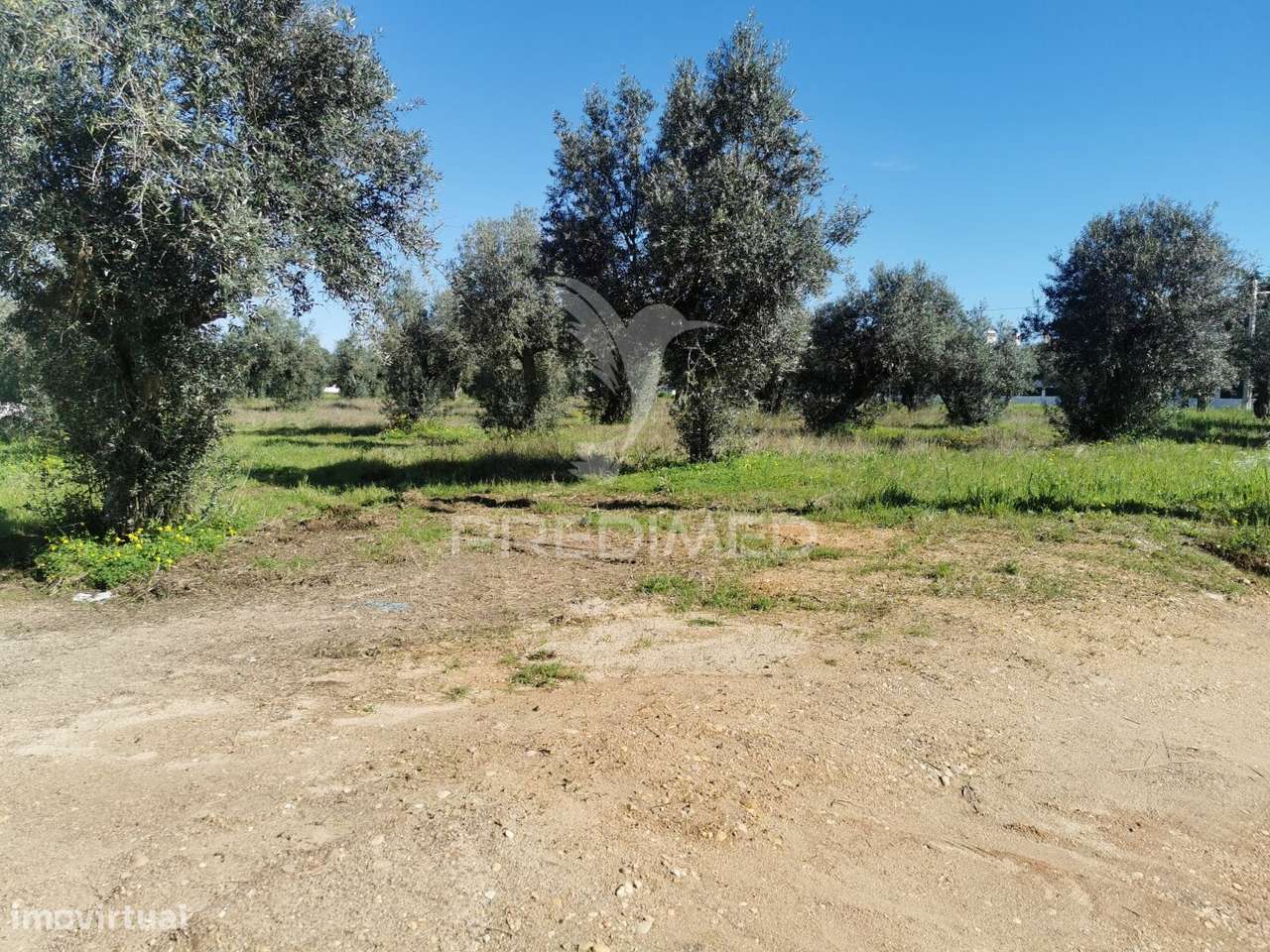 Lote de Moradia - Grande imagem: 5/8