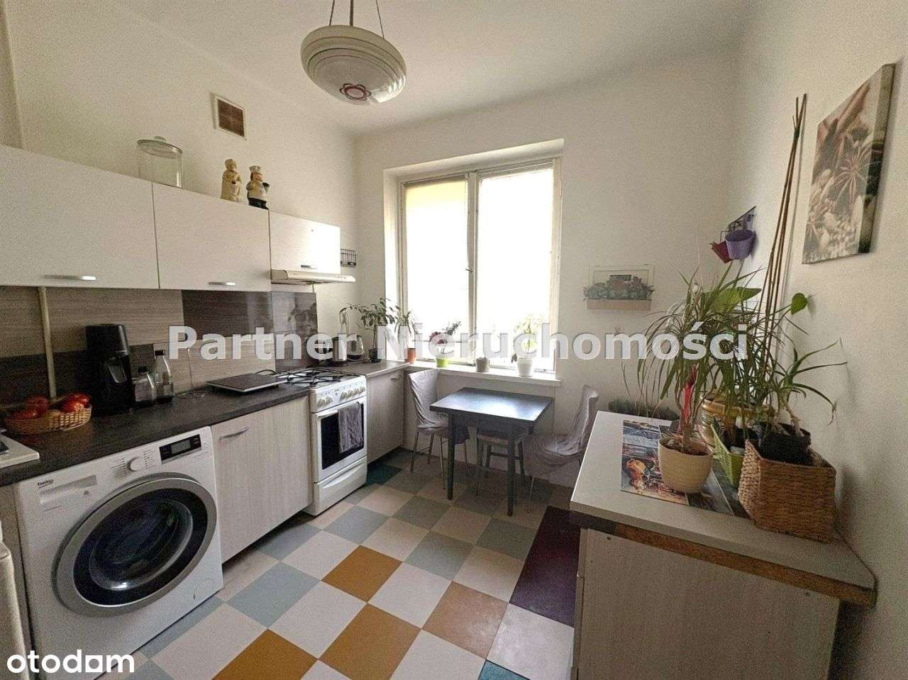 2 pokoje, 1 piętro, blok z cegły, Centrum Torunia - Pełny obrazek: 2/9