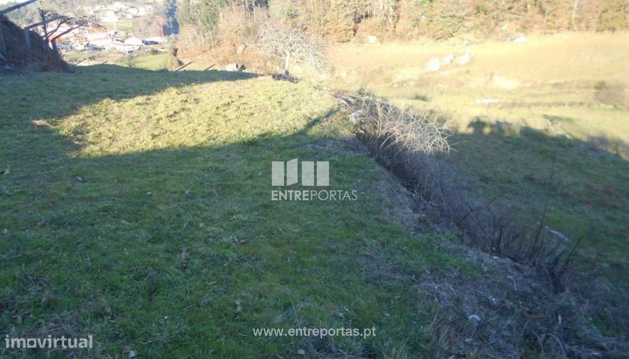 Venda de Terreno, Cunha, Paredes de Coura - Grande imagem: 4/33
