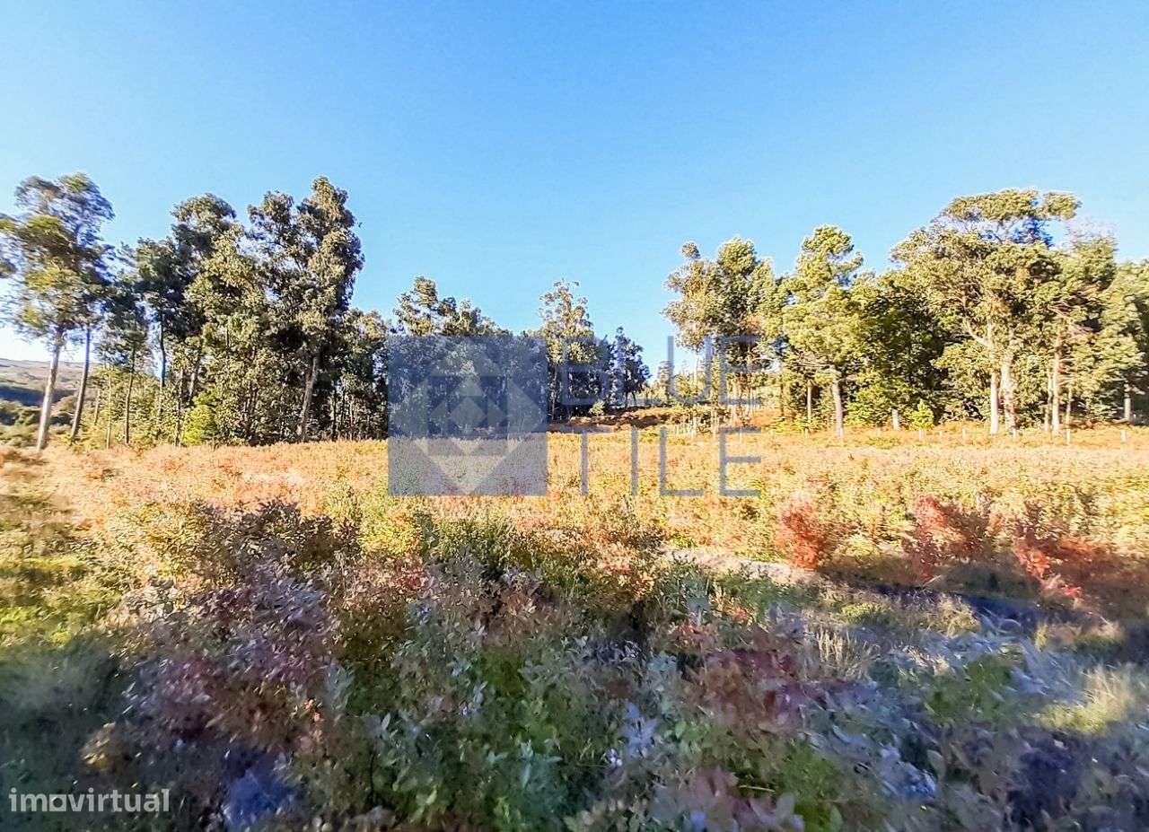 Quinta Excepcional em Gestaçô-36