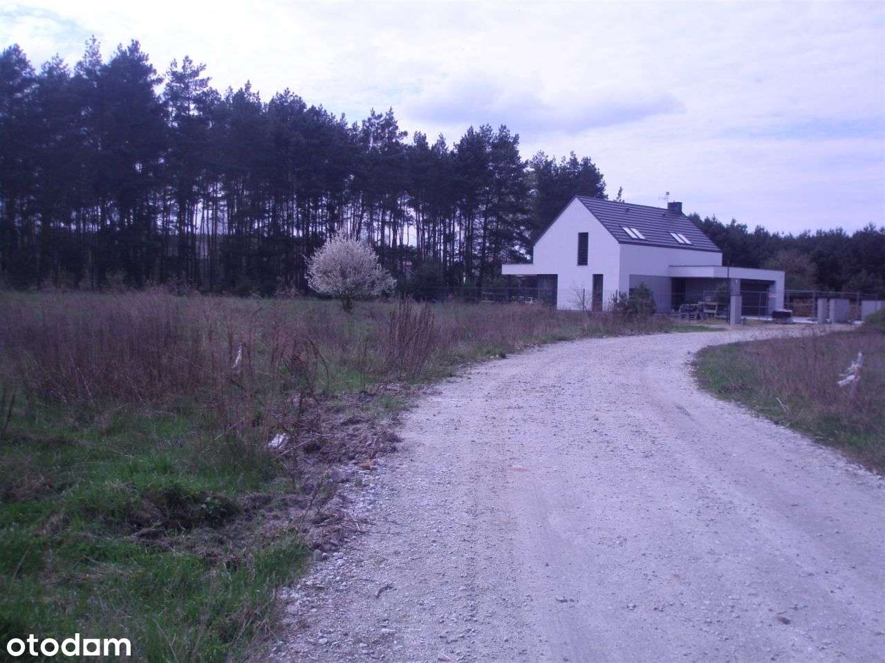 Działka Borówiec - Pełny obrazek: 4/6